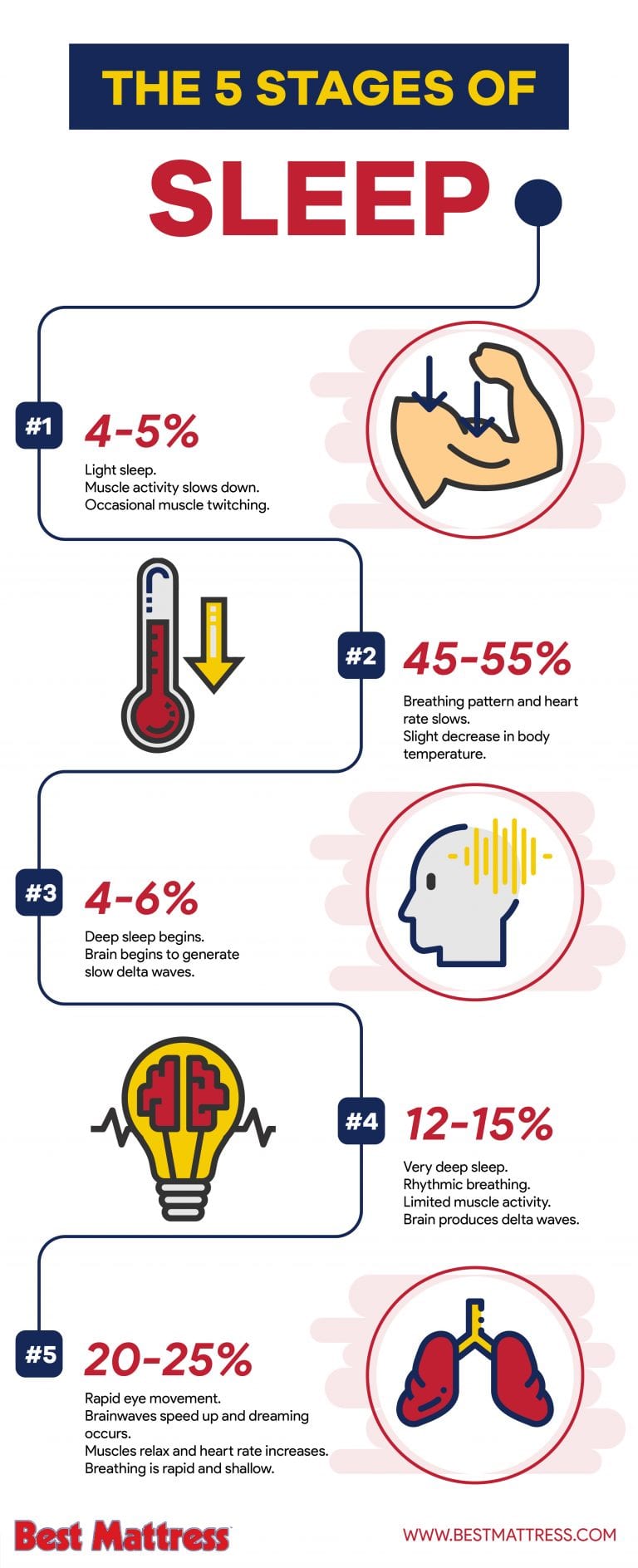 The Five Stages of Sleep - Best Mattress